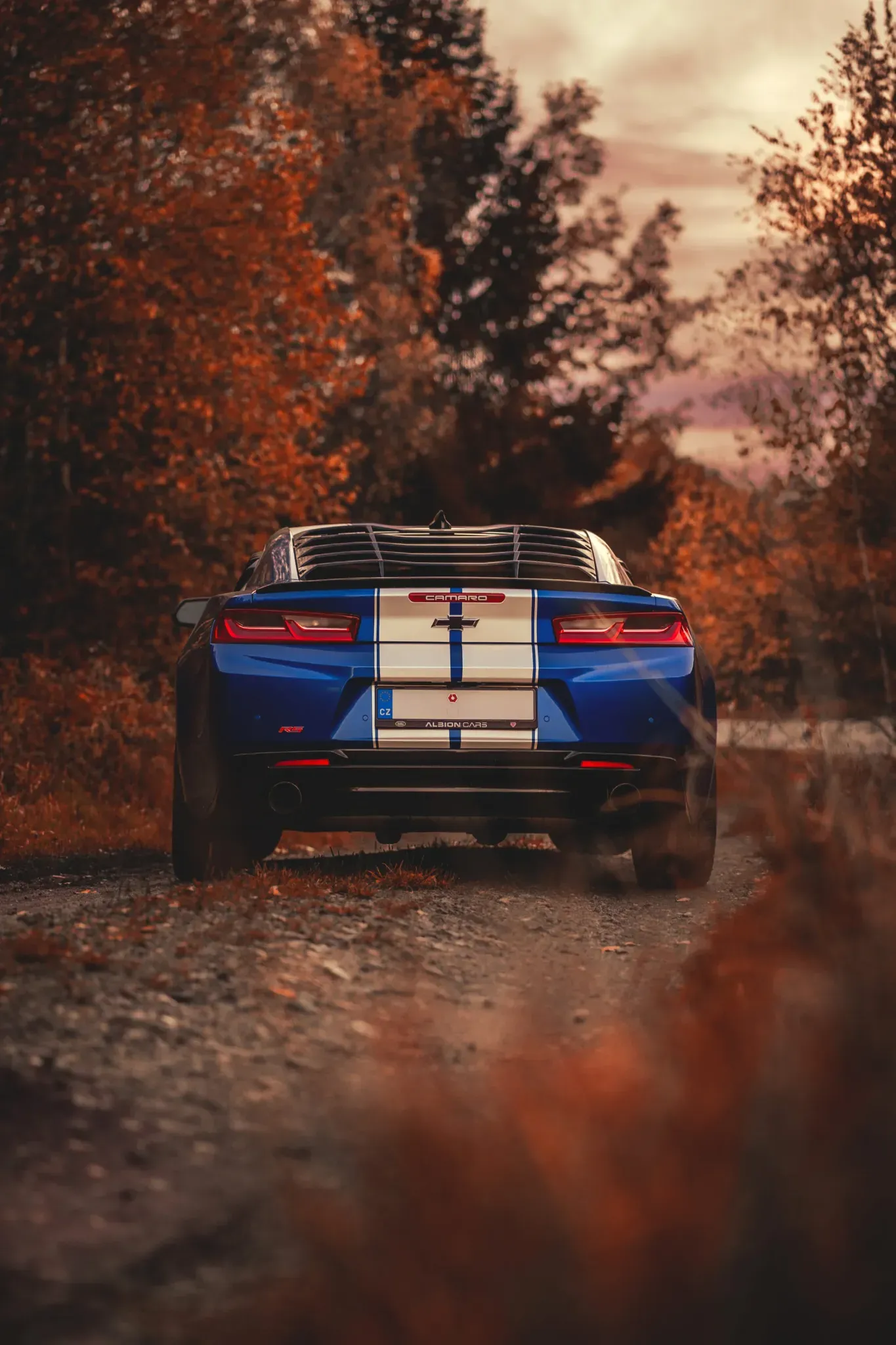 IMF Cars Rent — fotka 18