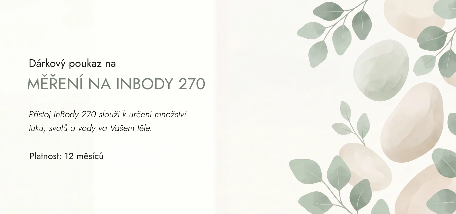 InBody 270