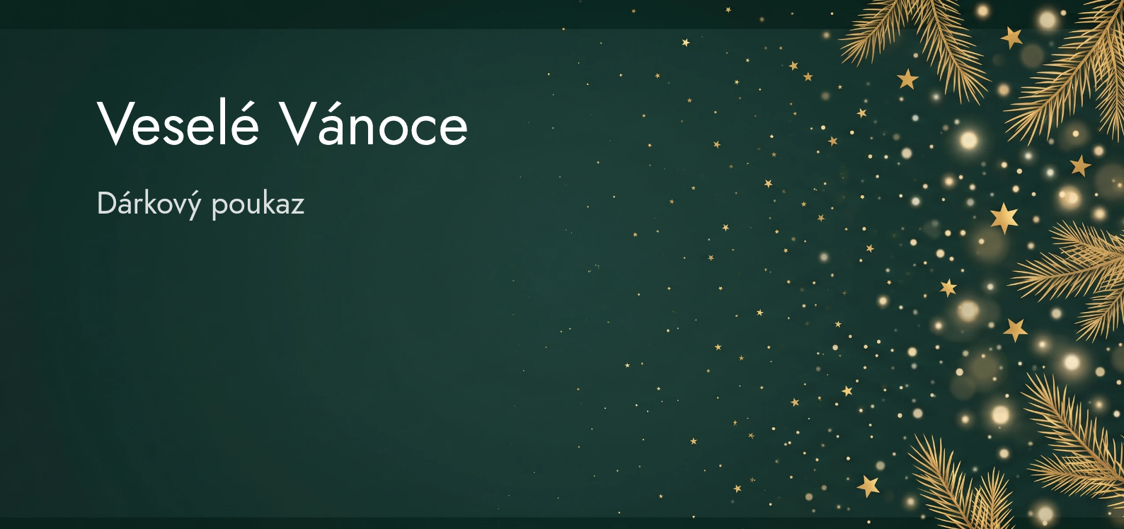 Vzor dárkového poukazu: Vánoce