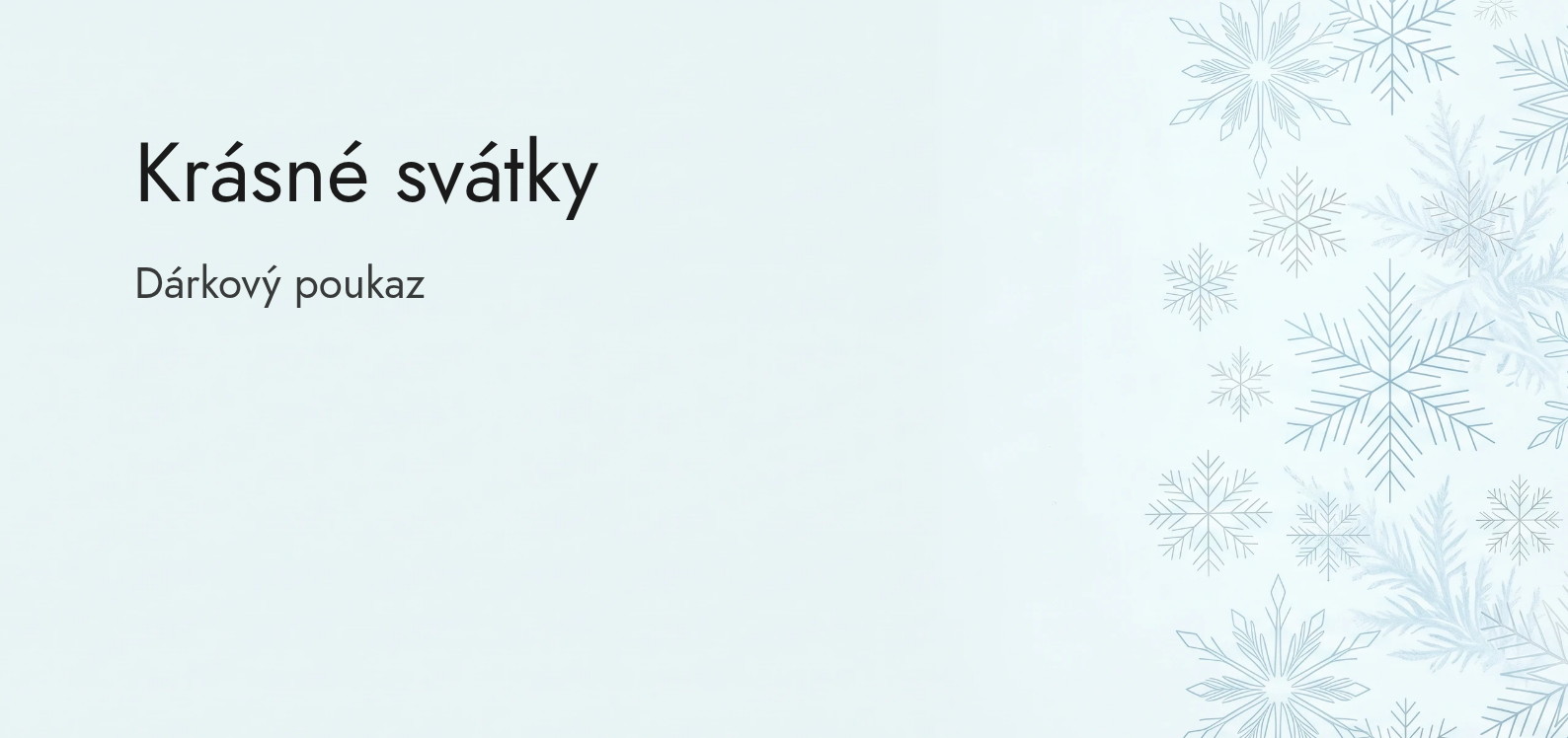 Vzor dárkového poukazu Zimní svátky