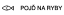 Logo Pojď na ryby