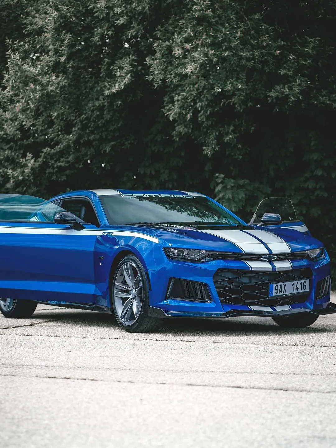 IMF Cars Rent — fotka 10