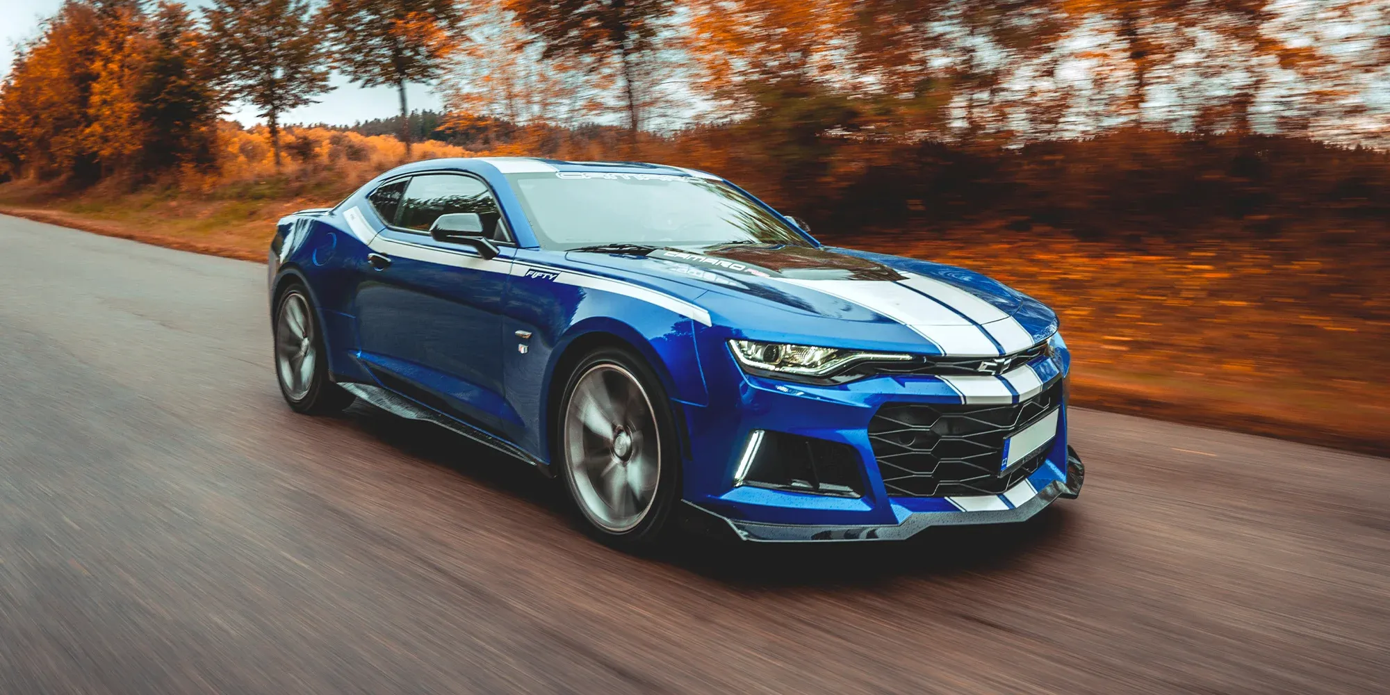 IMF Cars Rent — fotka 19