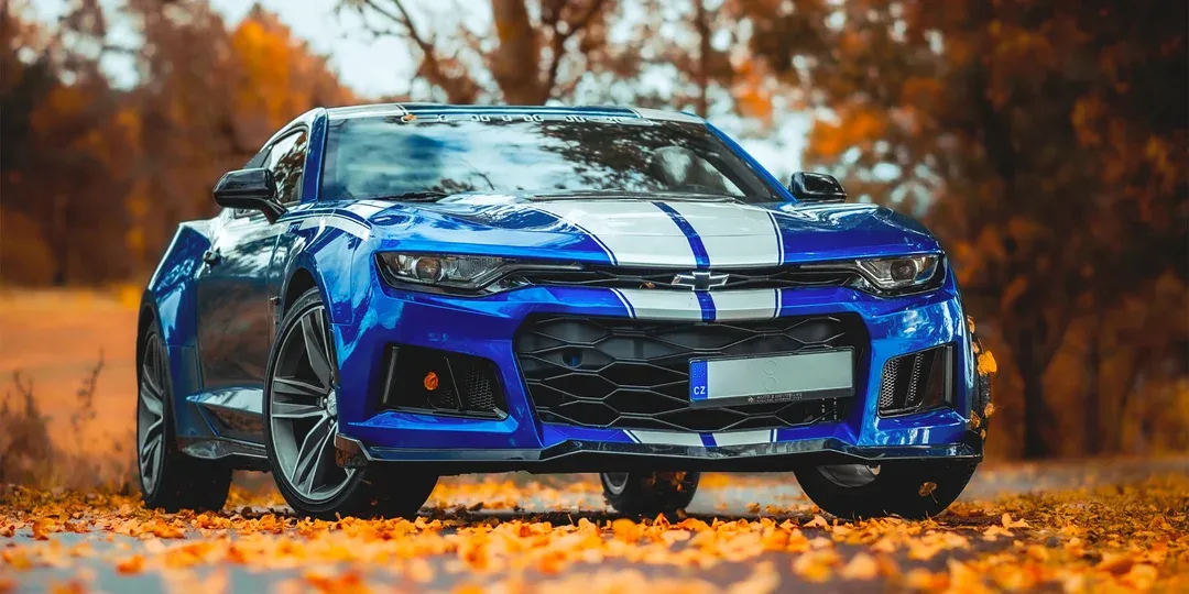 IMF Cars Rent — fotka 17